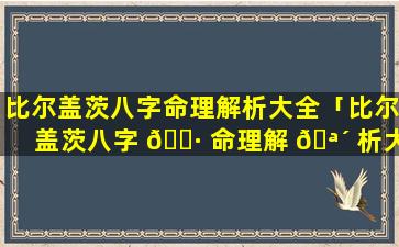 比尔盖茨八字命理解析大全「比尔盖茨八字 🌷 命理解 🪴 析大全图片」